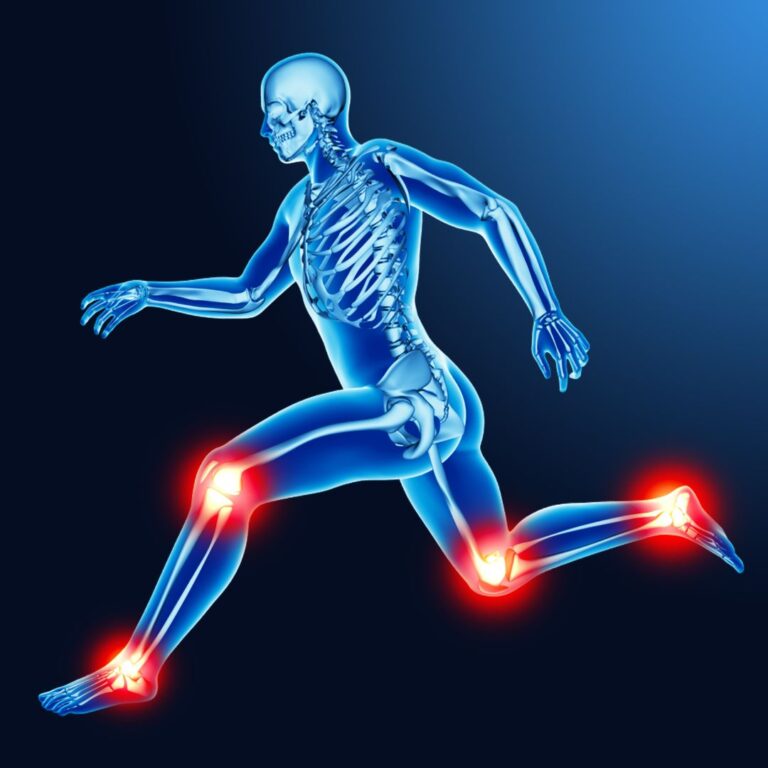 articolazioni tutto quello che c'è da sapere