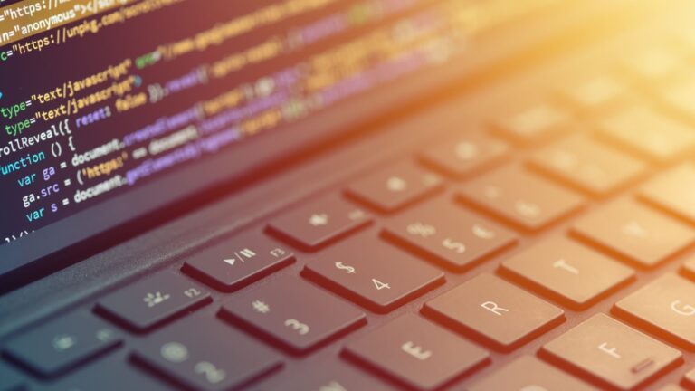 differenza tra bag e bug