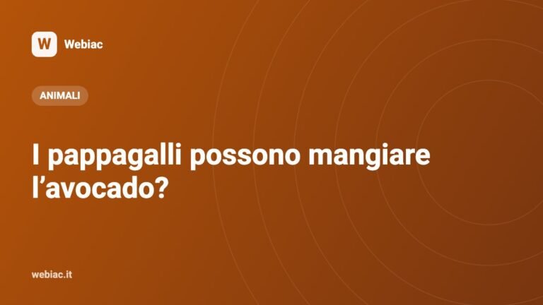 I pappagalli possono mangiare l’avocado?