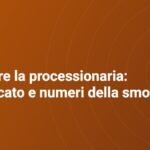 Sognare la processionaria: significato, interpretazione e numeri della smorfia Sognare la processionaria: significato e numeri della smorfia